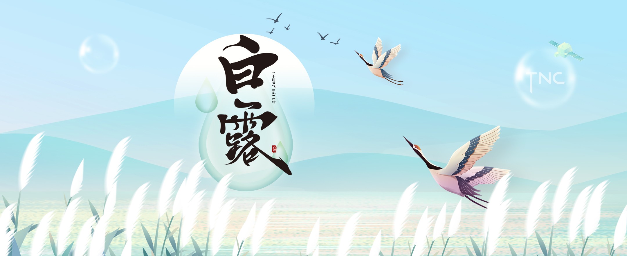 雷竞技科技